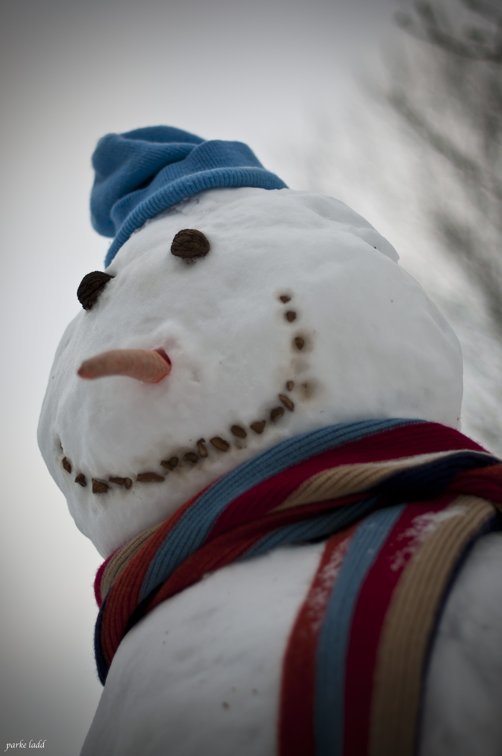 Snow Man with Scarf - Family Day, Town of Oakville, February 16 2015 | Parke J. Ladd  -  Foter  -  CC BY
