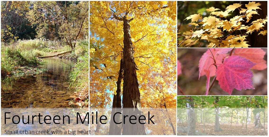 Tryptic of Photo of 14 Mile Creek | Oakvillegreen