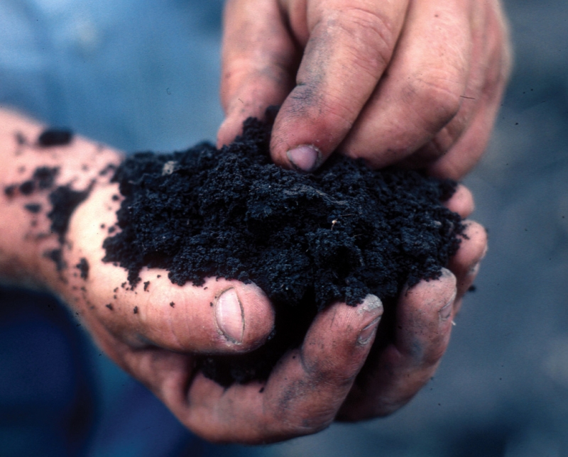 hand holding healthy soil | NRCS Soil Health  -  Foter  -  CC BY