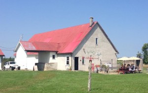 White Barn with Red Roof in Field |  Exultet Winery in Milford - Photo Credit: Cynthia Silversides