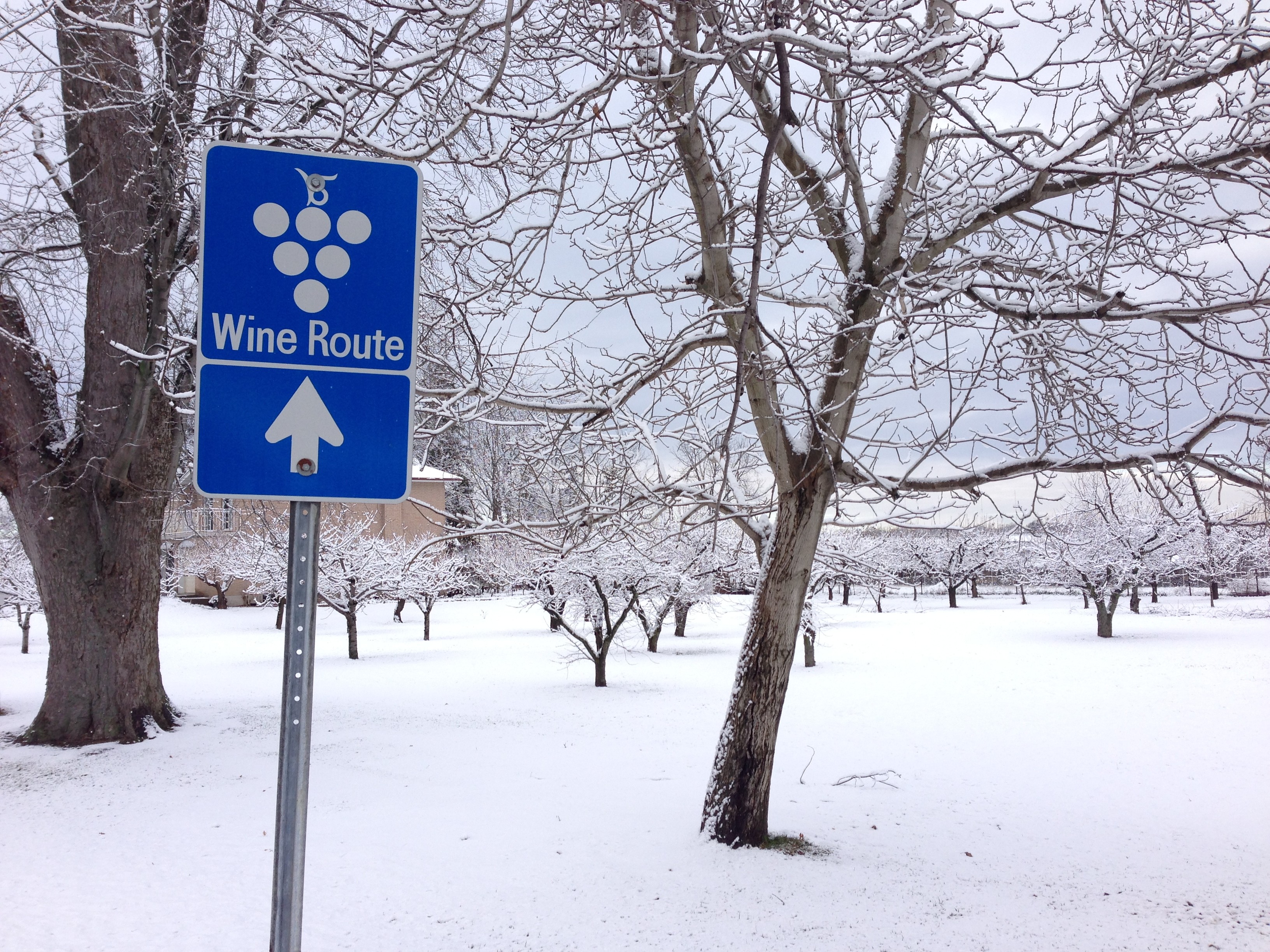 Niagara Peninsula Wine Route - Winter 2014 | © C. Silversides