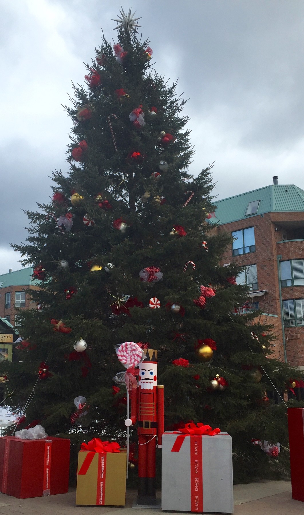 Christmas Tree in Town Square | OakvilleNews.Org