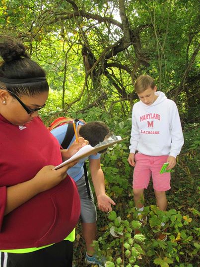 Children taking notes in the forest | OakvilleGreen