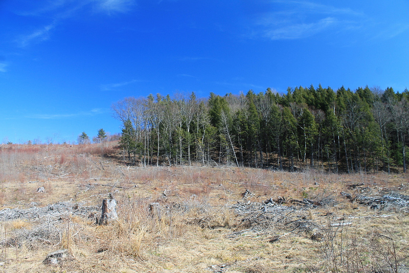 Clear cutting field | andyarthur  -  Foter  -  CC BY