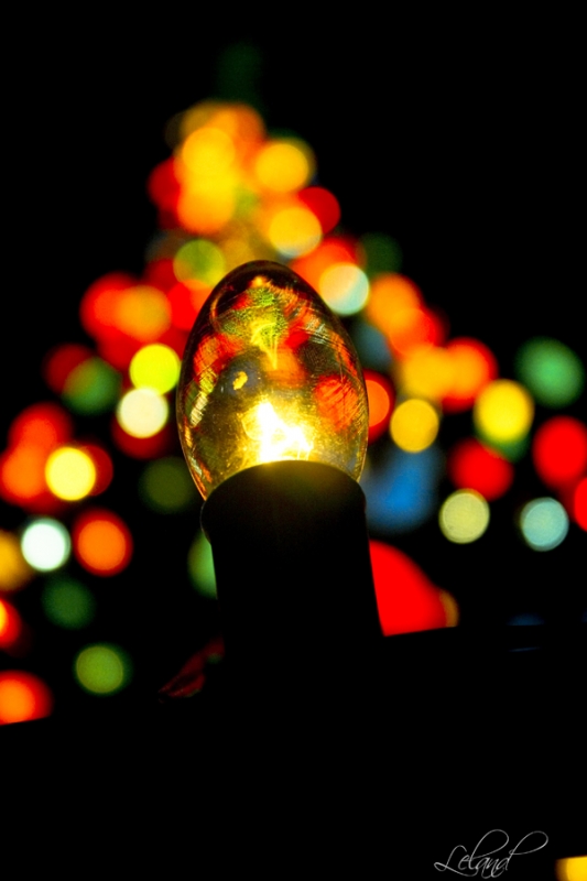 christmas-lights, Oakville, Ontario | Lel4nd  -  DecorLove  -  CC BY