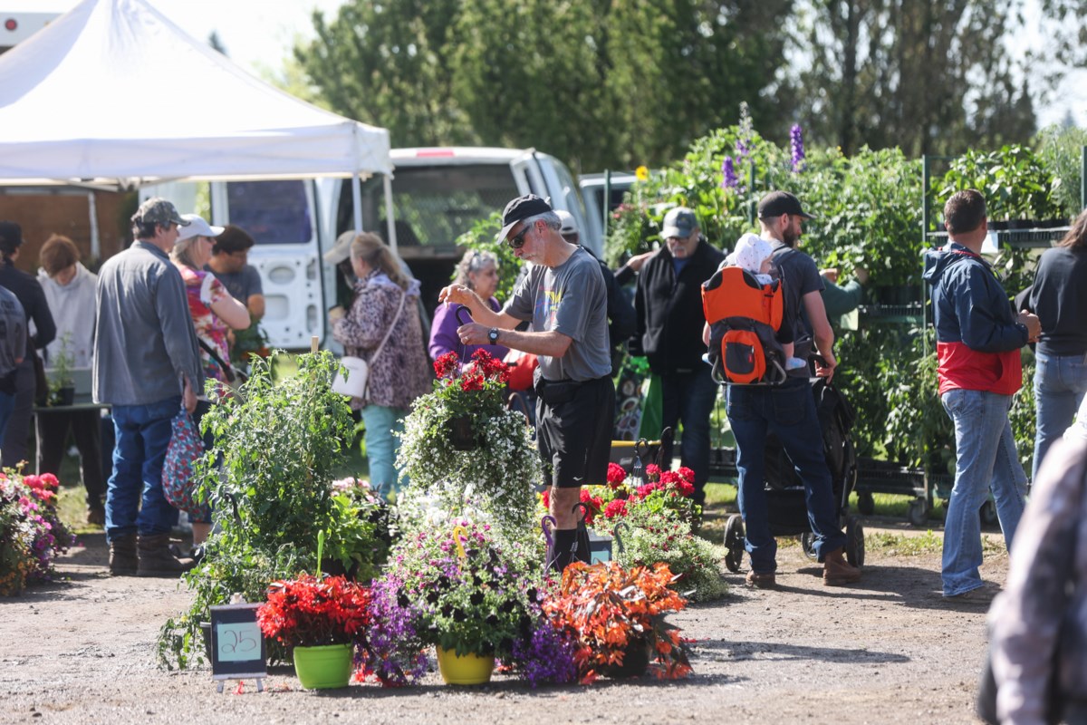 Historic Millarville market kicking off this weekend Okotoks