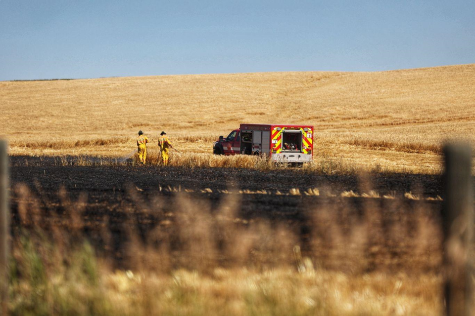 news-grass-fire