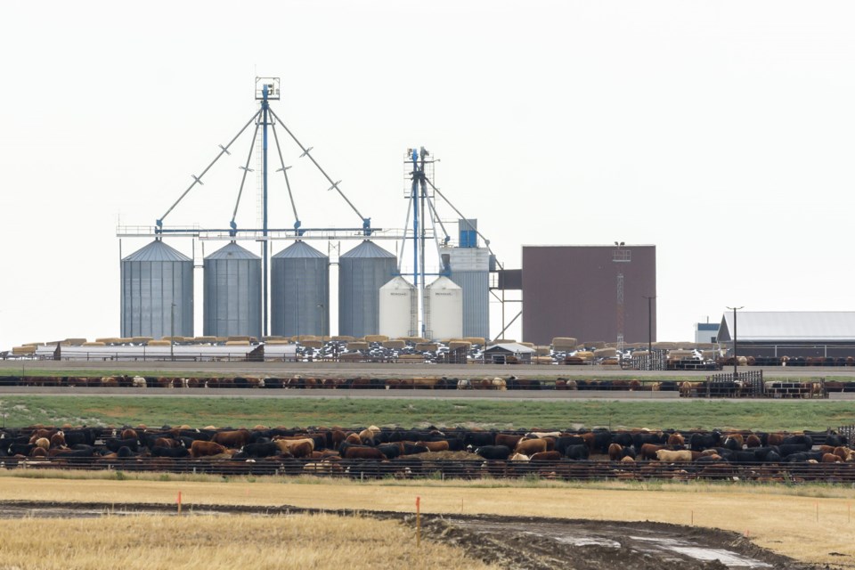 NEWS- Rimrock Feeders RK 8545WEB