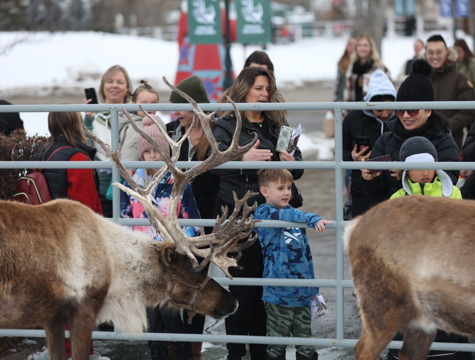 GALLERY Spruce Meadows' internationallyinspired Christmas Market