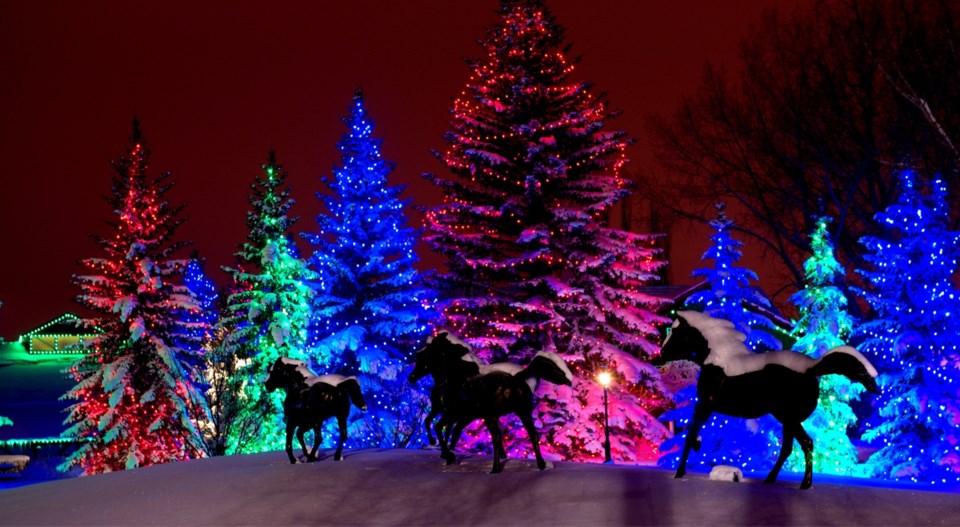 scene-spruce-meadows-christmas-lights