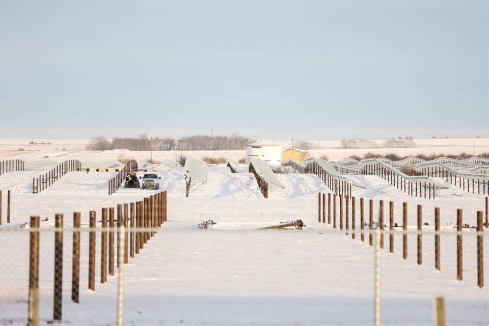 Supports stick out of a field waiting for solar panels at the TC Energy solar power project off Highway 2A north of High River on Feb. 2.