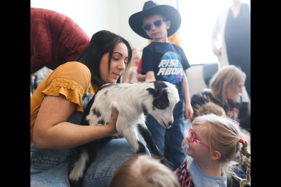 Author Christina Hatton-Fearnley holds a baby goat for children to pet following a reading of the book 'Girls Can Be Farmers Too' at the Okotoks Public Library on March 10.