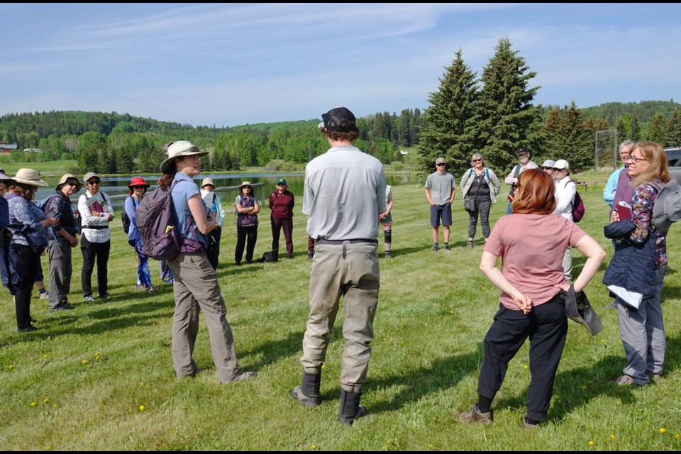 The Fish Creek Watershed Association hosted a family-friendly walk along Priddis Creek on June 3. 