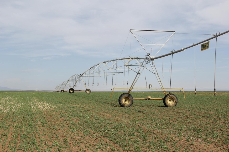 news-irrigation