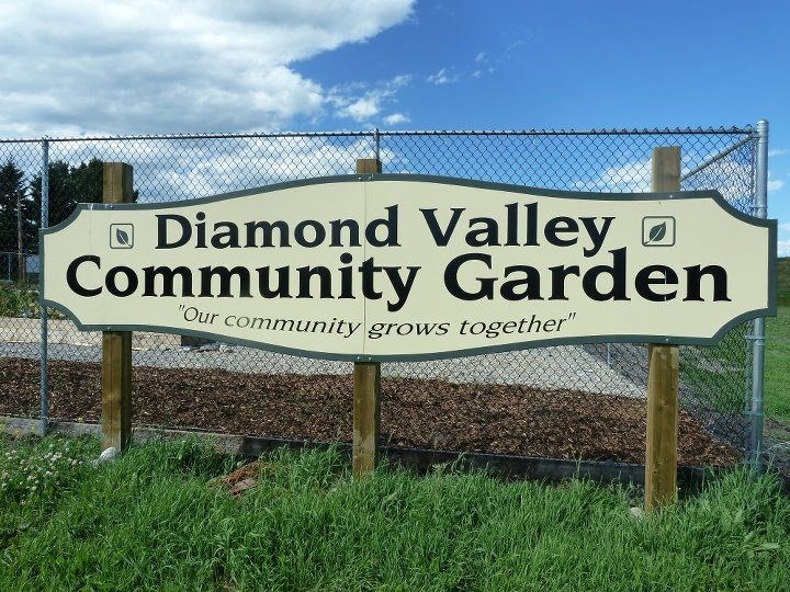 diamond-valley-community-garden