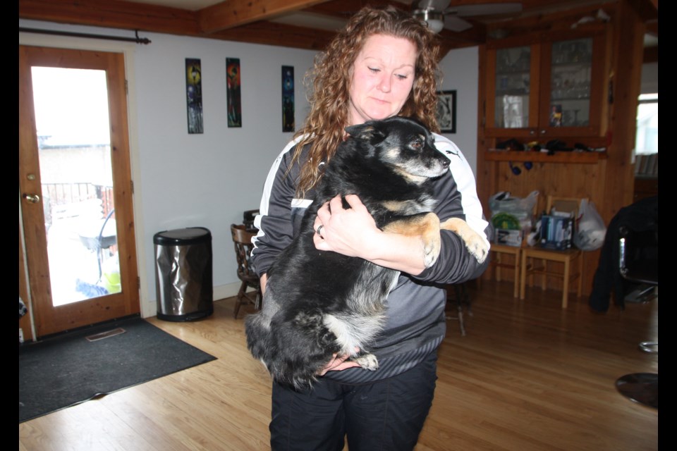 Jodi MacAulay with her dog Mya which was attacked by a deer in the family’s yard on Jan. 12. The dog had to have approximately 40 stitches. (Bruce Campbell, Okotoks Western Wheel)