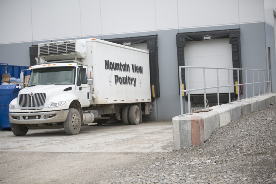 mountainviewpoultry
