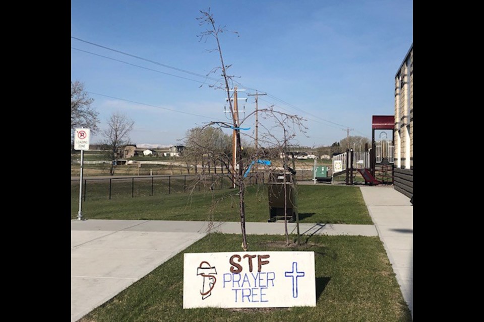St. Francis of Assisi Academy in Davisburg has established a prayer tree as part of Catholic Education Week and the Month of Mary. 