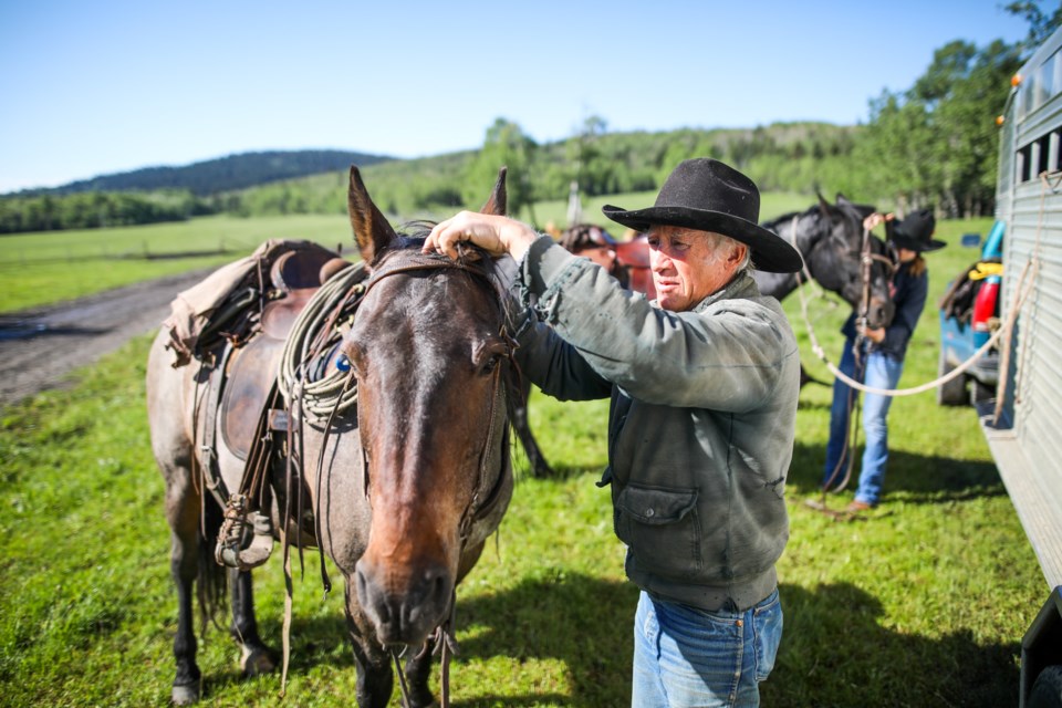 Rancher Gary Thomson prepares his horse for the drive on June 17, 2018.