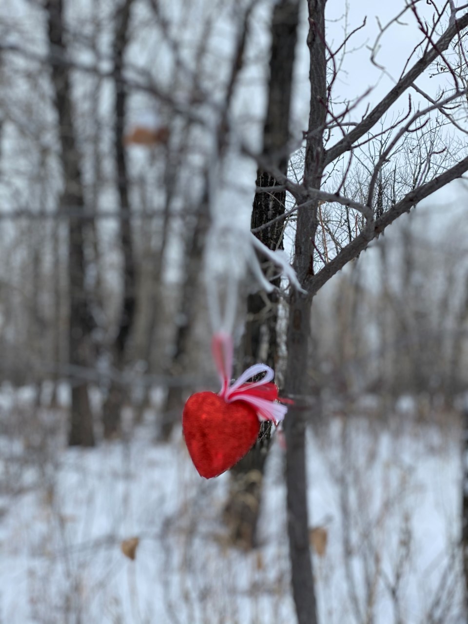 Good Morning, Okotoks! - OkotoksToday.ca