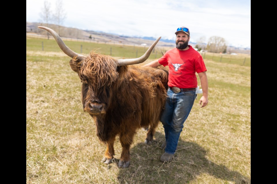 Nick Shipley with one of his Highland cows at Hartell Homestead on May 6. Shipley will be opening up the agri-tourism business on May 15, including a farm and store.