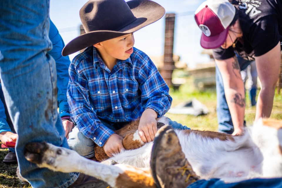 SA-Cattle Branding 10 BWC web