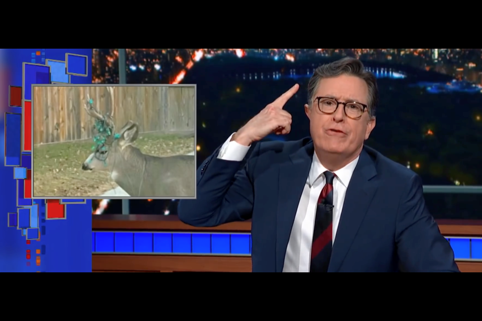A deer with Christmas lights tangled in its antlers made it onto The Late Show with Stephen Colbert last week.