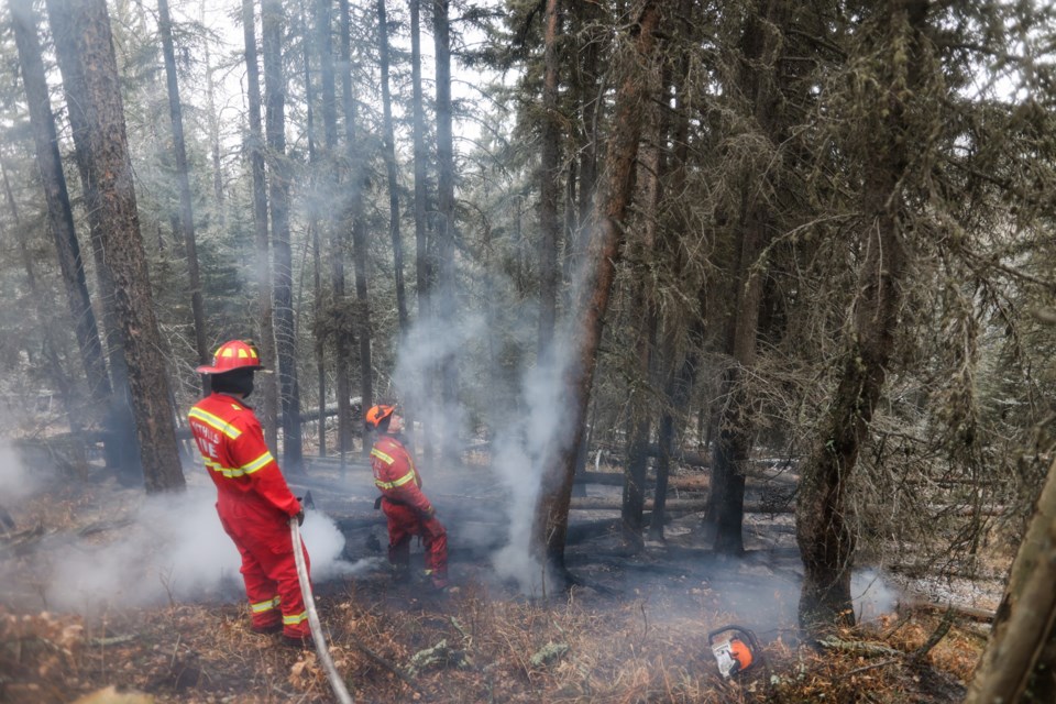 WW-Brush Fire BWC 2843 web