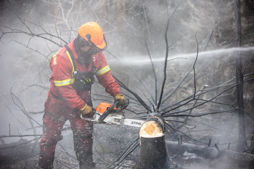 WW-Brush Fire BWC 3020 web