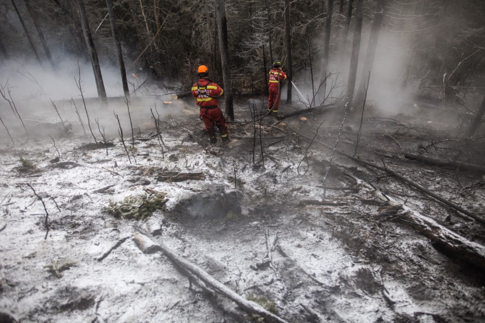 WW-Brush Fire BWC 3136 web