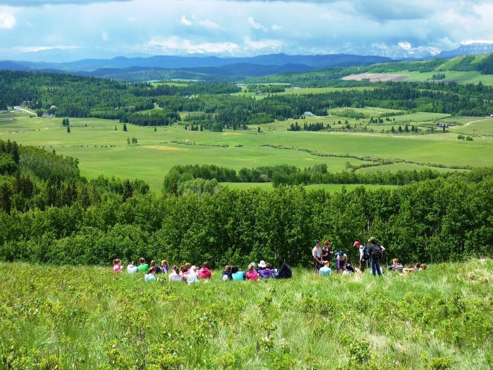 Brown Lowery Provincial Park