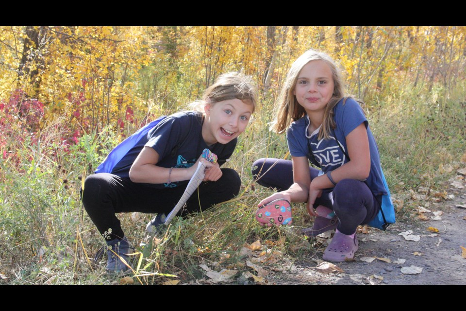 C. Ian McLaren School Grade 4 students Lexi Letkeman and Delilah Gawryluk find a rock during a scavenger hunt as part of their school's community rock project Oct. 2. (Tammy Rollie/Western Wheel) 