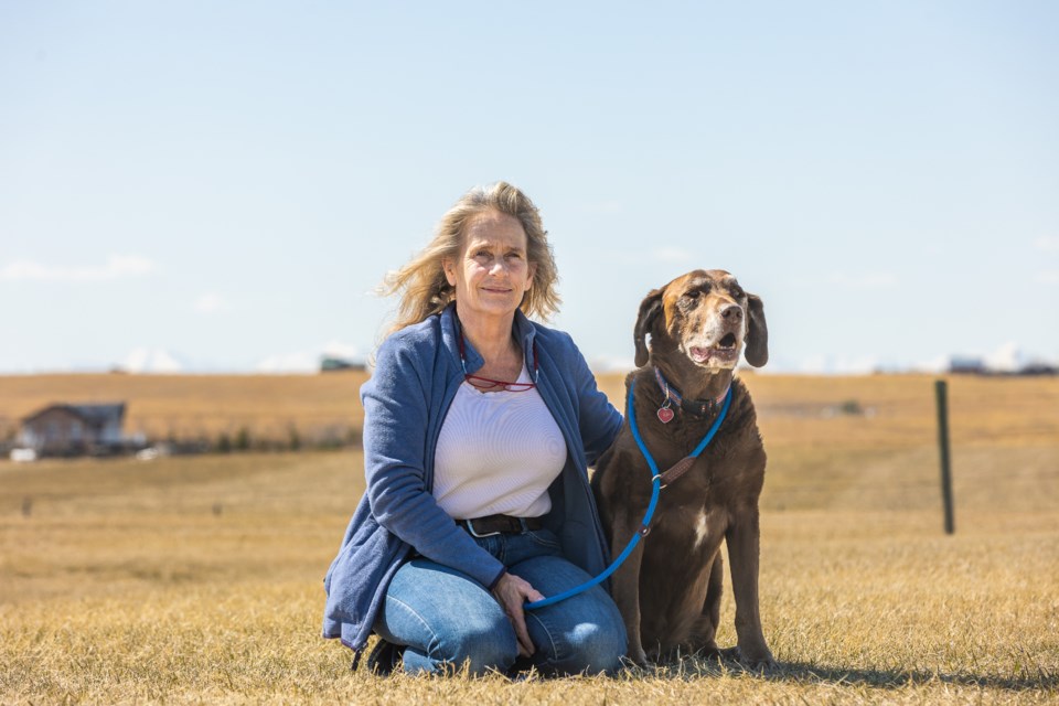 FOOTHILLS: Finding a forever home FOOTHILLS: Finding a forever home