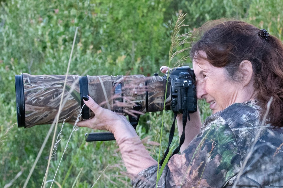 Cochrane resident Maureen Hills-Urbat spends almost every day capturing wildlife with her Nikon. (Photo courtesy of Maureen Hills-Urbat)