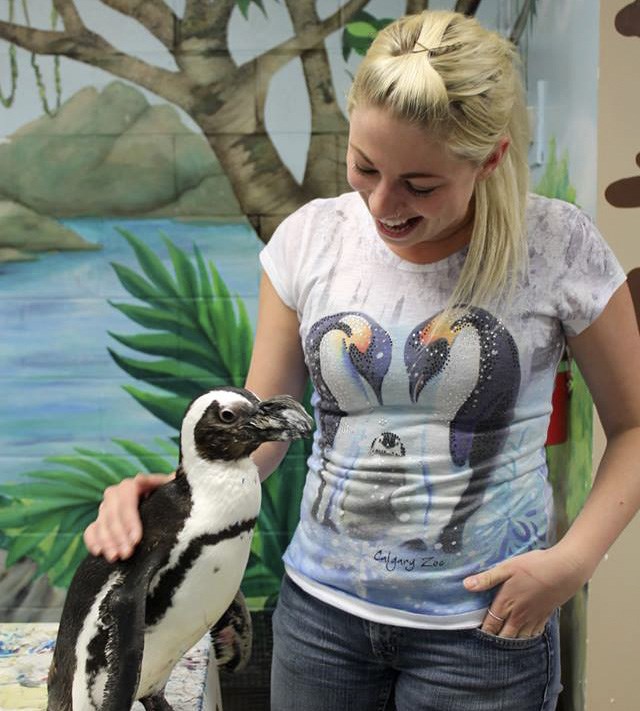 Nicole Fernell Penguin Rescue