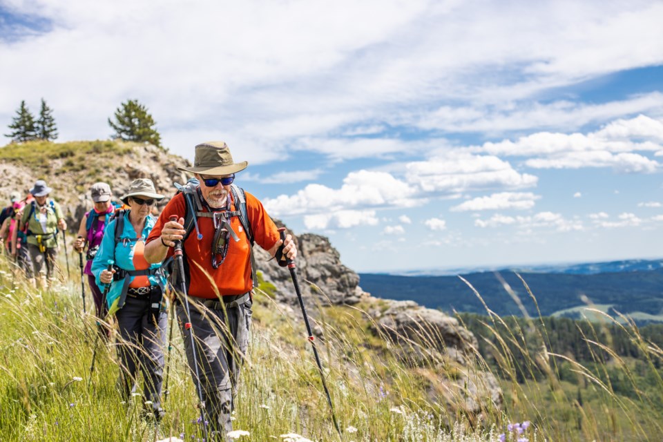 Mike Rossier leads the Sheep River Ramblers along a ridge near Windy Point. (BRENT CALVER/Western Wheel)