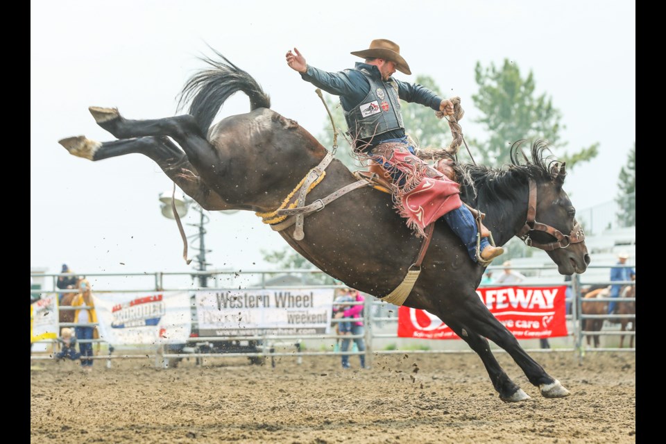Sam Kelts rides for a score of 84 in the Okotoks Pro Rodeo last year. The 2019 rodeo returns to the Millarville Racetrack Aug. 23-25.
