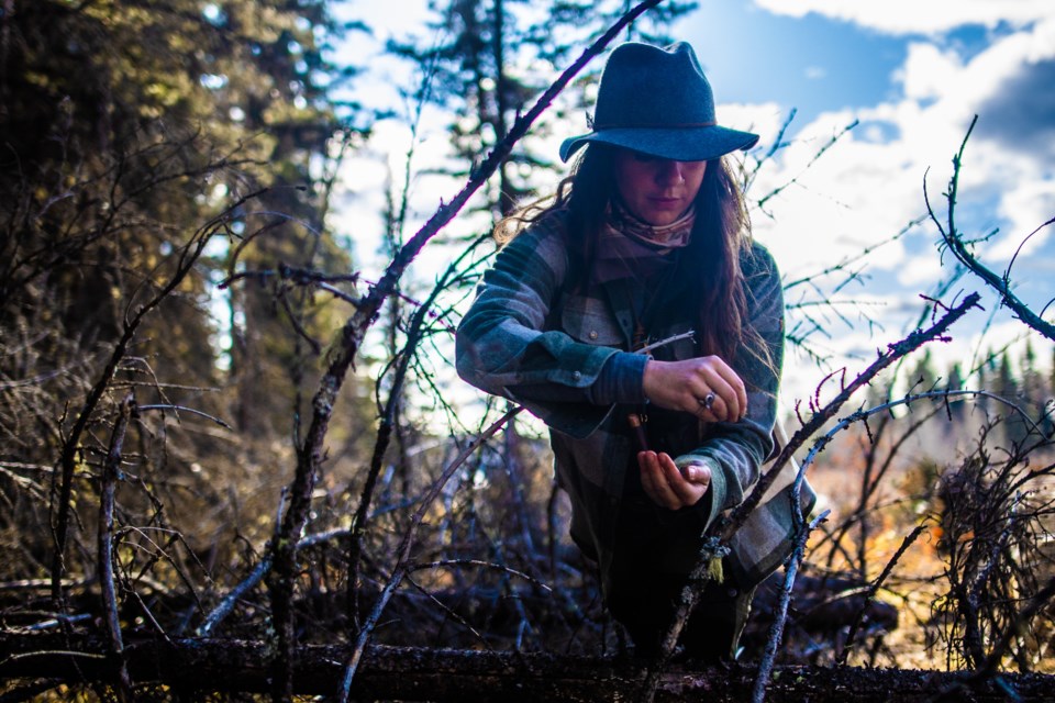 Alyse VanRamele, proprietor of The Wild Stuff, forages native plants on Oct. 23 to create her lineup of natural healing balms and ointments. VanRamele strives to responsibly harvest a small percentage of what she finds in order to minimize her impact on nature. (BRENT CALVER/Western Wheel)