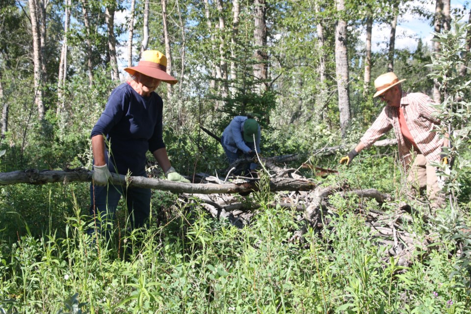 Turner Valley volunteers, from left, Lorraine Molyneux, Laurie Bullock and Mark Bullock clear out  some deadwood at the seven-acre Arrowhead Park on June 26. (Bruce Campbell, Western Wheel) 