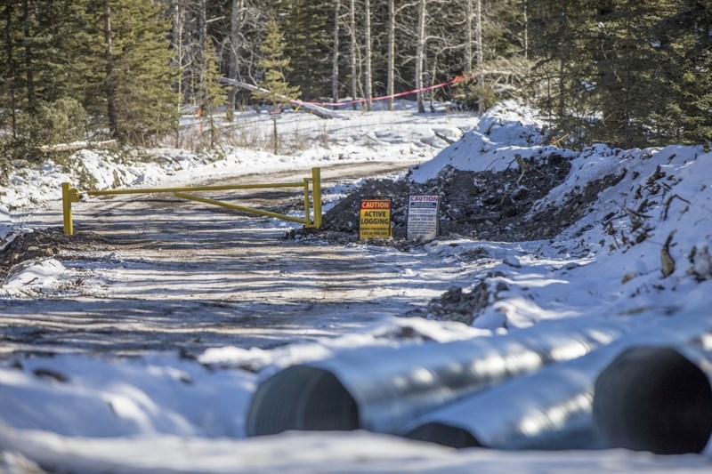 Controversial logging has begun at Highwood Junction, despite lobbying efforts from local residents and municipalities.