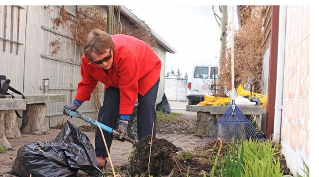 Jane Toews, FCSS co-ordinator, cleans up a pocket garden in Black Diamond during a previous Project Green Day event. Toews is inviting volunteers in Black Diamond and Turner