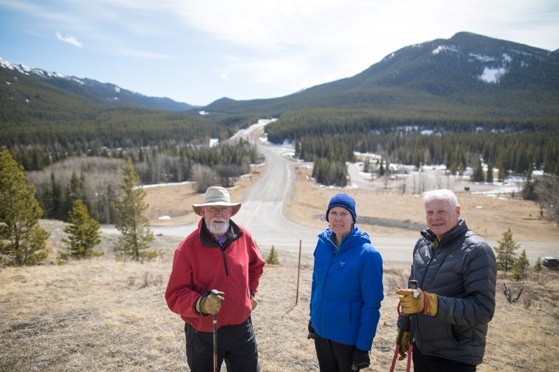 Neil Williams, left, Mady Thiel-Kopstein, and Richard Toews at the edge of Kananaskis Country in 2017, where clear-cut logging has now removed trees on 255 hectares. Williams 
