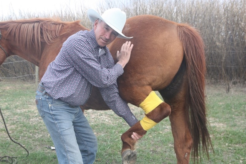 Drew Parker demonstrates the proper way to lift a horse&#8217;s hoof at his Longview-area home. Parker, a horse amedic, is giving a certified equine basic firenthusiast and