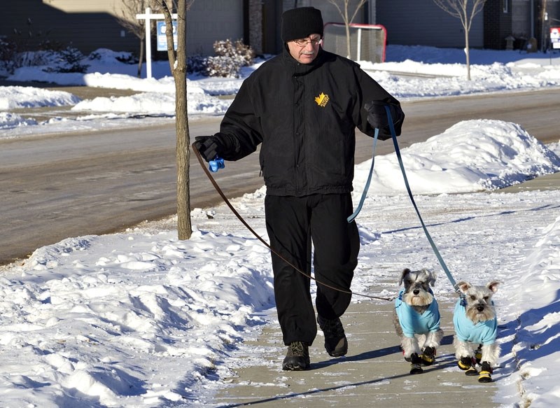 Gaetan Marion braves -25 C temperatures with his furry companions Bucko and Grisham, miniature schnauzers, both aged three and a half. The cold weather required dressing in