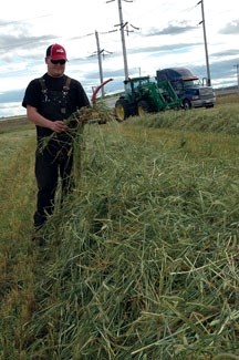 Okotoks-area farmer Mike Imler surveys his barley harvest last year. He said seeding operations are behind this year due to wet weather.