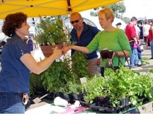 Tracey Aubin (left) of Terra Farms tends to the needs of customers at Millarville Farmers&#8217; Market last summer. A new season of the Foothills mainstay kicks off Saturday 
