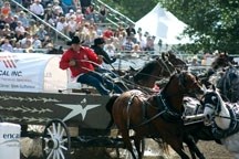 The eyes of several judges will be on Mark Sutherland and the other 35 drivers at the North American Chuckwagon Championships this week in High River.