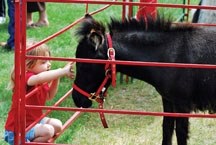 Mackenzie Coner reaches out to touch a four-legged friend during last year&#8217;s local Canada Day celebrations. The popular petting zoo area will be back again this year