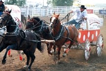 Colt Cosgrave grabs the rail in his Sunday heat at the North American Chuckwagon Championships in High River. Cosgrave, who was born in High River, finished third at the