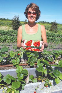 Judy Kolk, Kayben Farms owner, looks over the farm&#8217;s strawberry crop ahead of this Saturday&#8217;s Strawberry Festival.